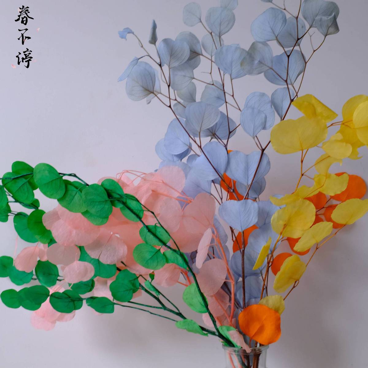 永生花苹果叶厂家批发苹果叶圆叶尤加利永生花干花花束家居装饰