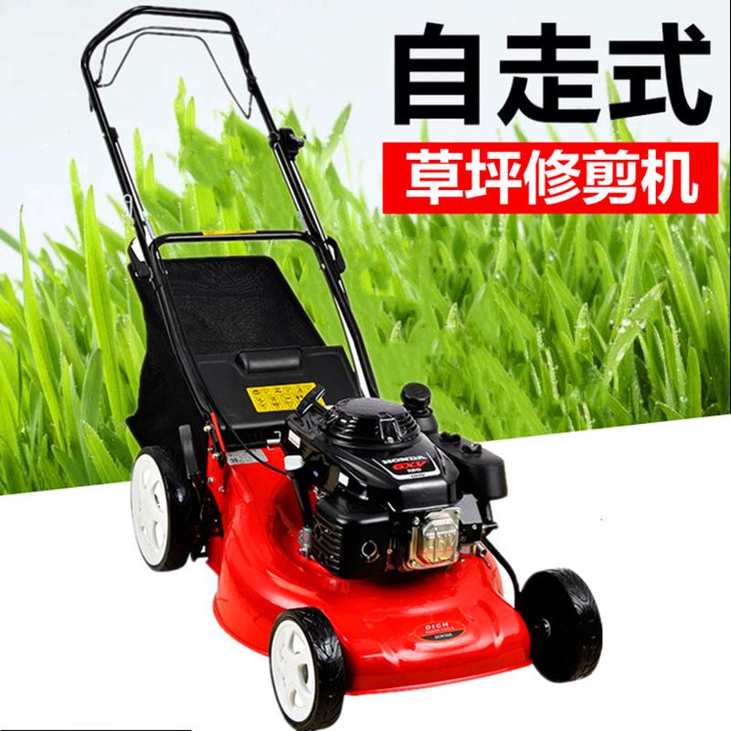 2025年新款手推式割草机汽油四冲程草坪修剪车农场自走式剪草机
