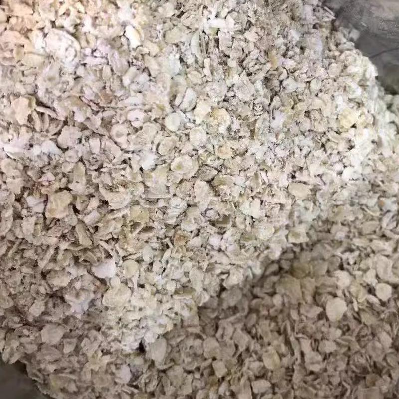 现货即食纯燕麦片澳洲皮燕麦原味早餐代餐上班族学生免煮营养速食