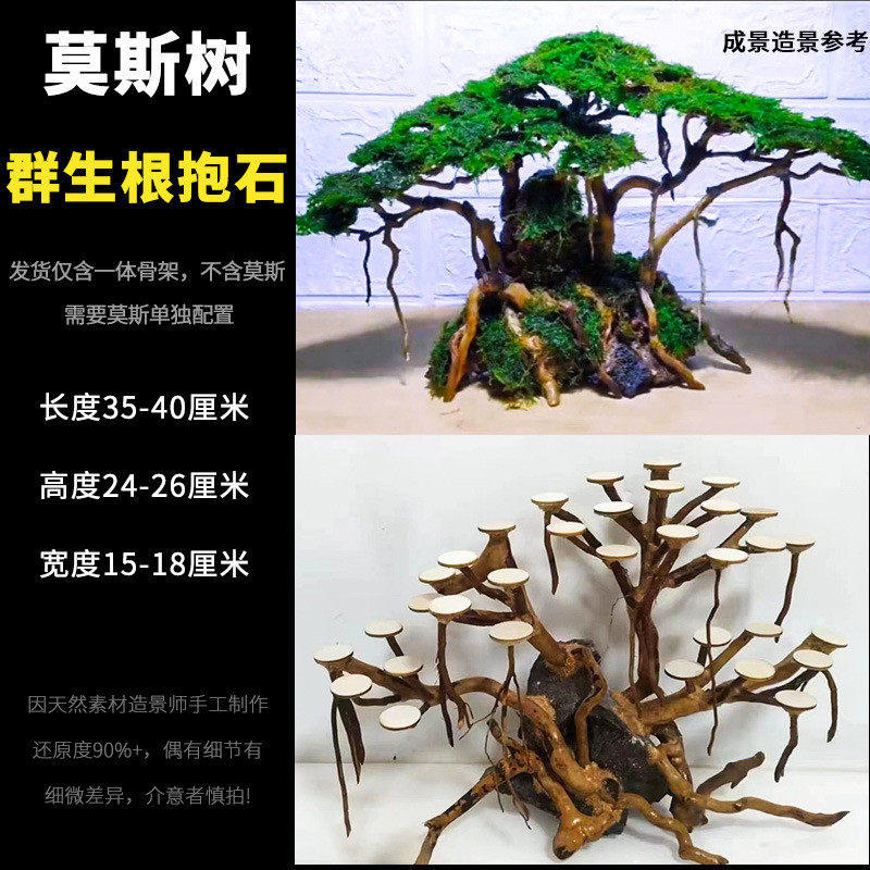 鱼缸造景沉木骨架成品莫斯树杜鹃根青龙石迎客松树根摆件草缸装饰