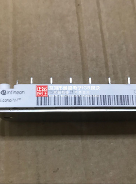 IGBT模块B50-BGP60 BSM501GP60MG BS25GP1202 BSM15G1S1P2M0-B2