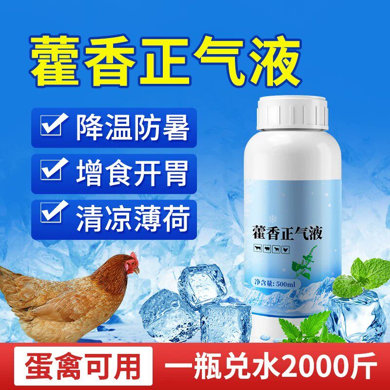 藿香液兽用降温解暑口服液猪牛羊抗应激鸡鸭鹅中暑解清热