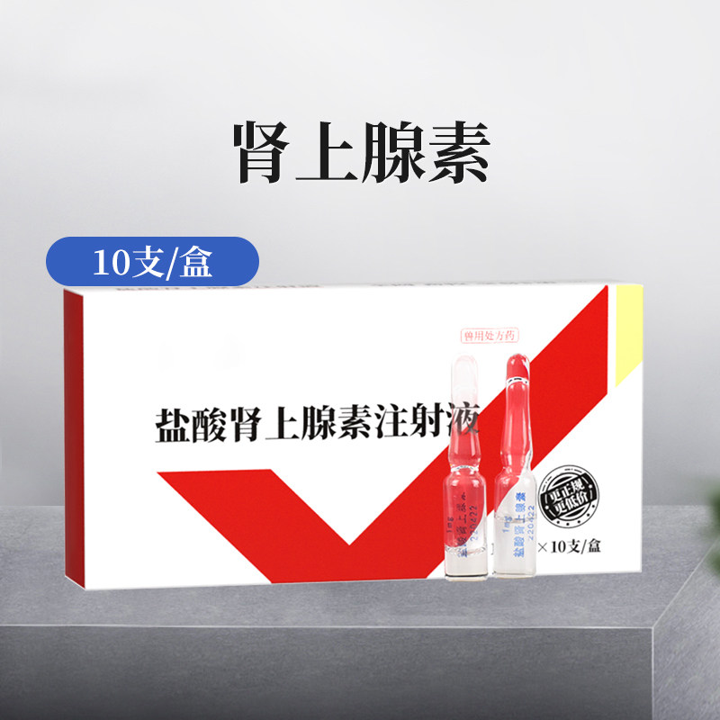 中农康畜 兽药盐酸肾上腺素注射液犬猫急救疫苗应激兽用猪牛羊用
