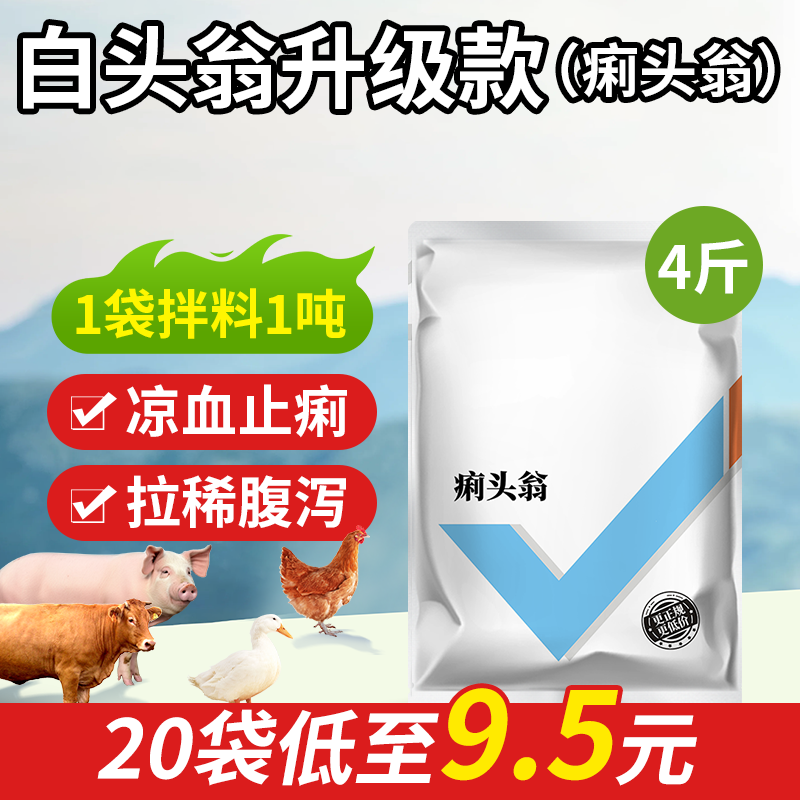 兽用痢头翁家禽肠道饲料添加剂