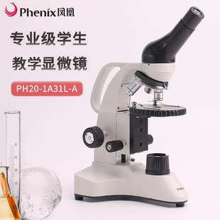 A专业学生科普机640倍LED冷光源 1A31L 江西凤凰光学显微镜 PH20