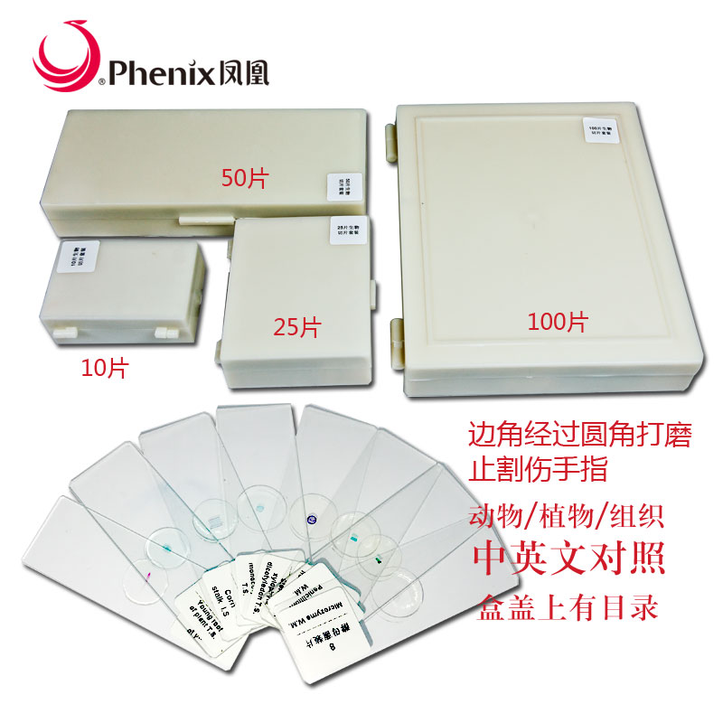 Phenix/凤凰常规标本切片载玻片