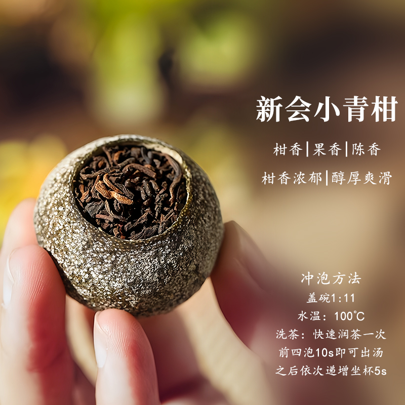 小青柑普洱茶茶叶试喝普洱熟茶