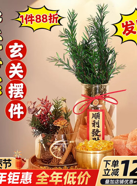 入户门玄关装饰乔迁新居摆件肉桂生财搬家旺宅净财库招财客厅用品