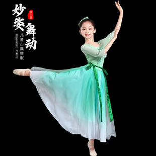 儿童古典舞演出服女飘逸中国风艺考舞蹈大摆裙纱衣雨涧春行图服装