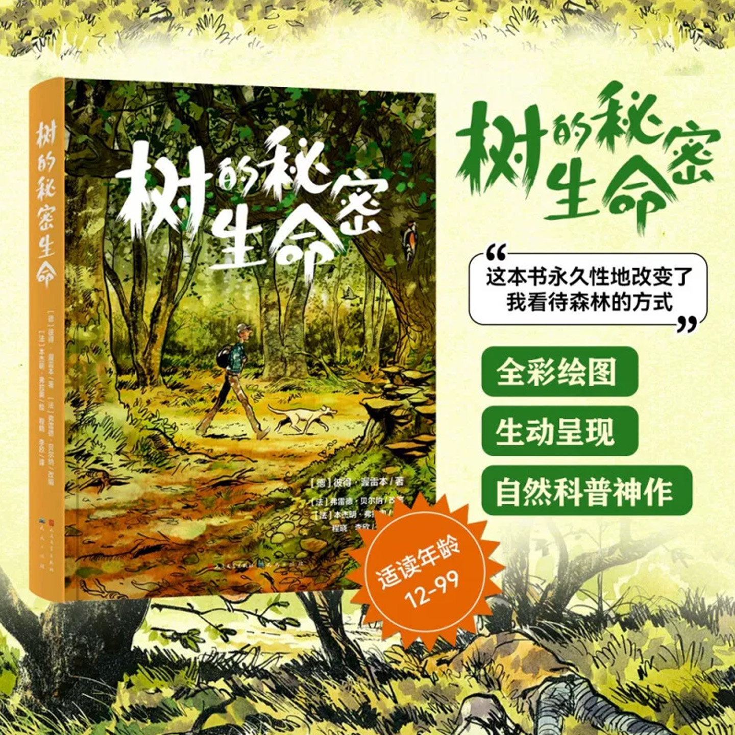 树的秘密生命自然科普书籍揭秘树木地下真菌网络社交沟通互助共生机制讲解森林生态树木生长智慧信号传递防御知识温柔治愈自然文学