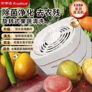 7AH钛电解片 荣事.达果蔬清洗机洗菜机去农药残留食材净化机RSQ