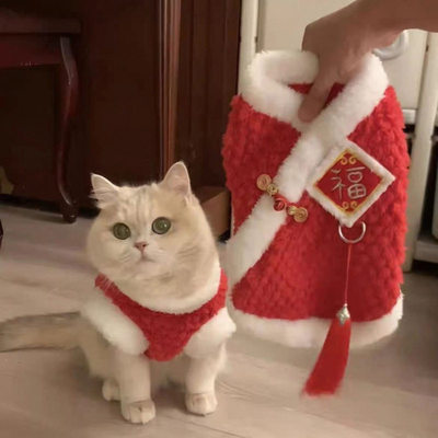 猫咪新年衣服秋冬装可爱蓝金渐层布偶猫蓝猫红色过年喜庆衣服
