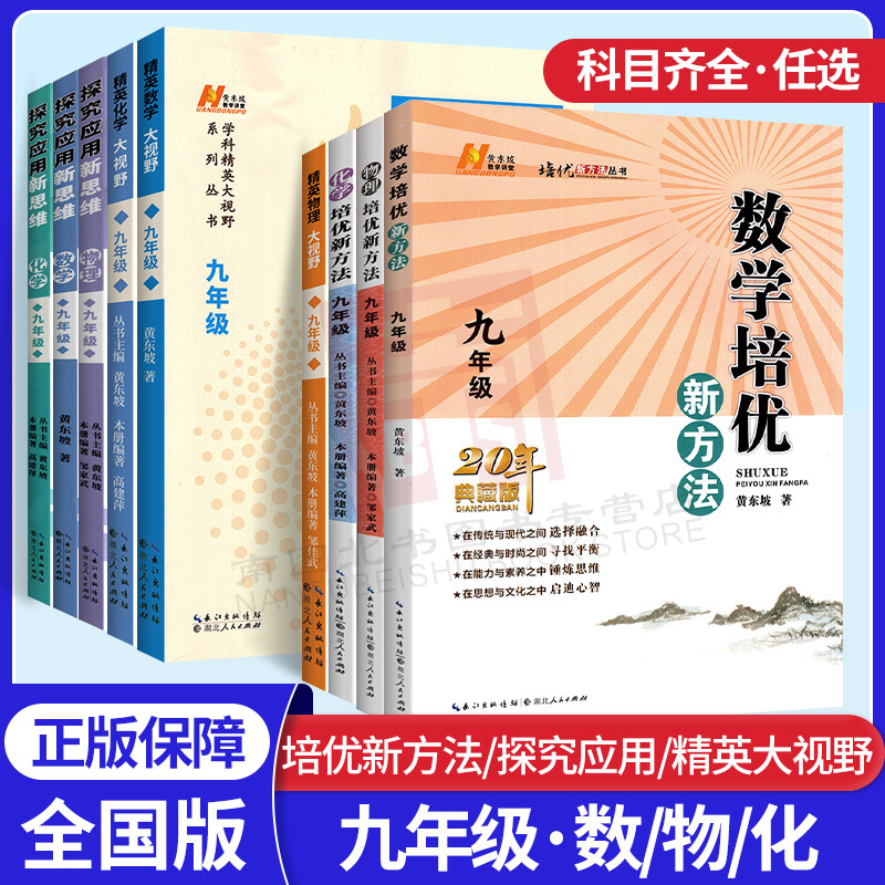 2024数学培优新方法九年级