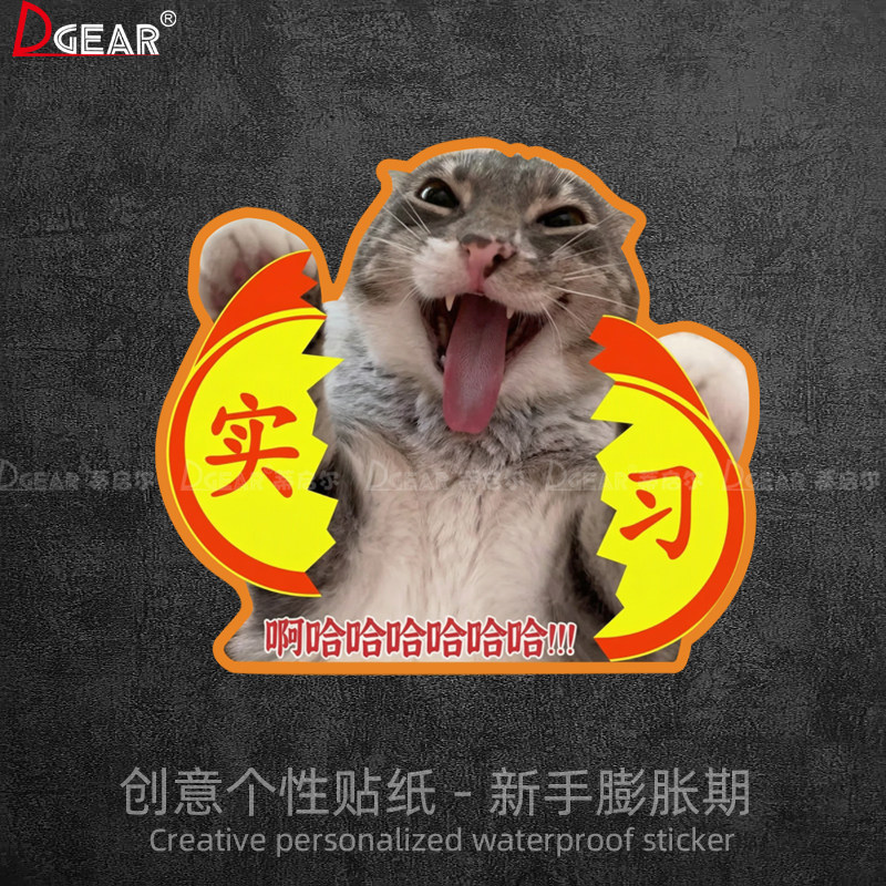 新手膨胀期搞笑车贴猫咪撕裂实习