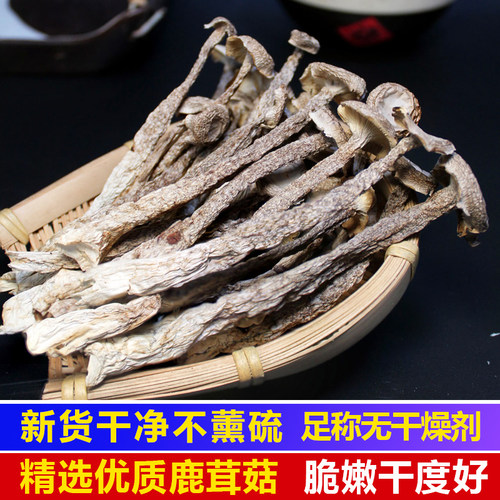 江西鹿茸菇干货特产脆脆菇