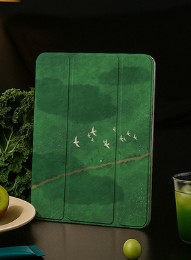 720适用苹果ipadair7保护套旋转壳10.2平板11代带笔槽pro12.9亚克力壳13透明5全包边绿色鸟群matepad11高颜值