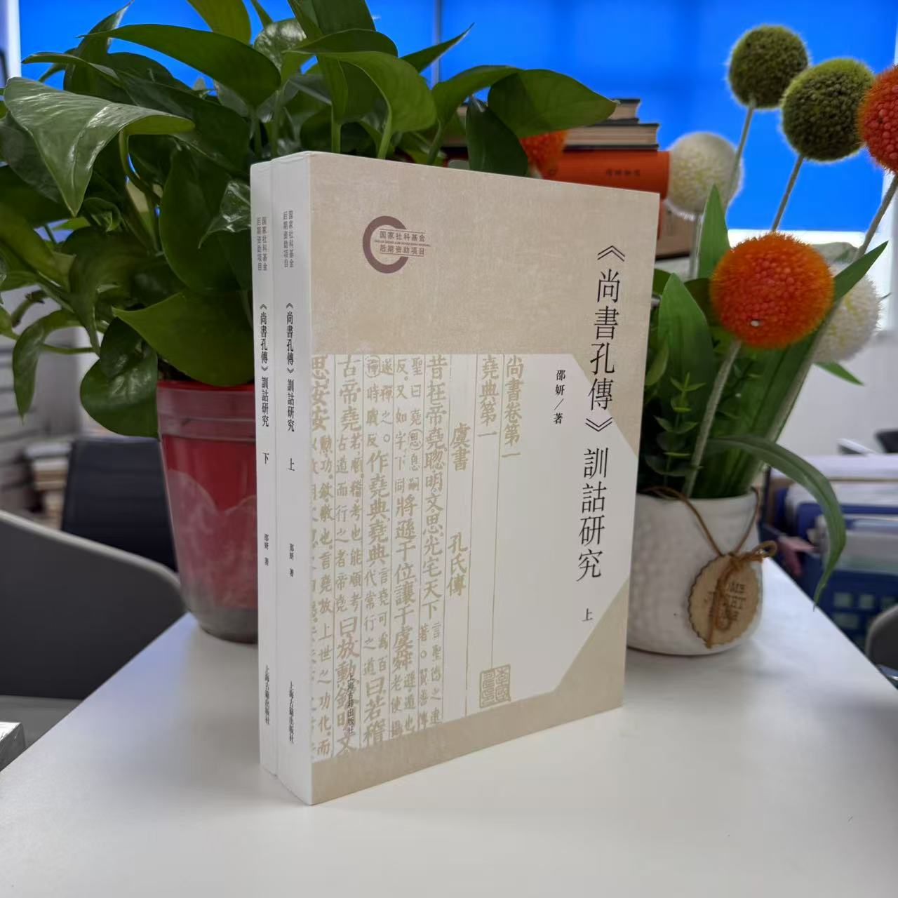 【新书】《尚书孔传》训诂研究（全二册）9787573215031上海古籍