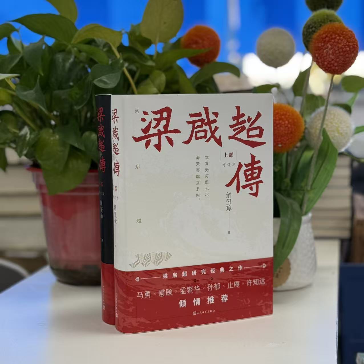 梁启超传(增订本)(上下) 解玺璋 著 著 9787020194834 人民文学出版社