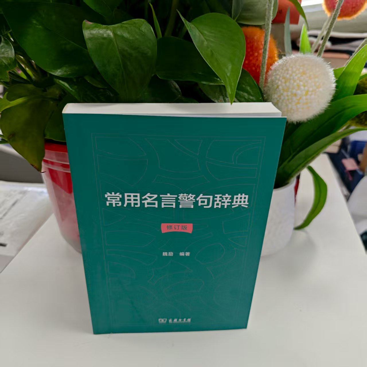 微瑕--常用名言警句辞典 9787100228855  商务印书馆