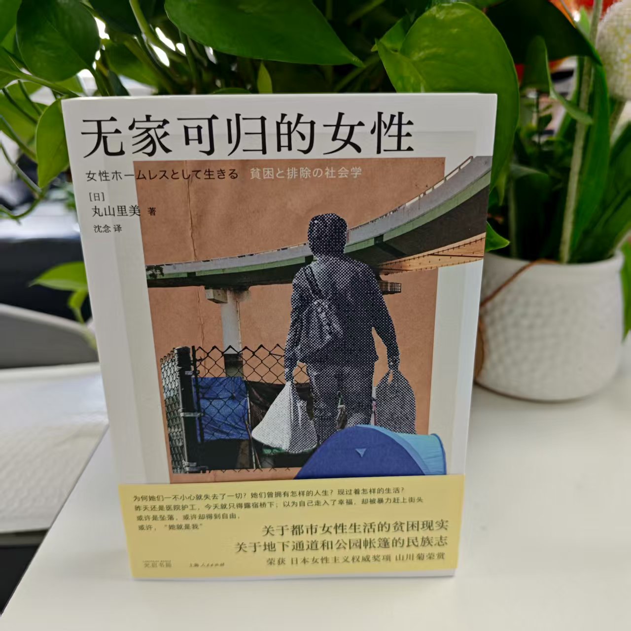 无家可归的女性[日]丸山里美