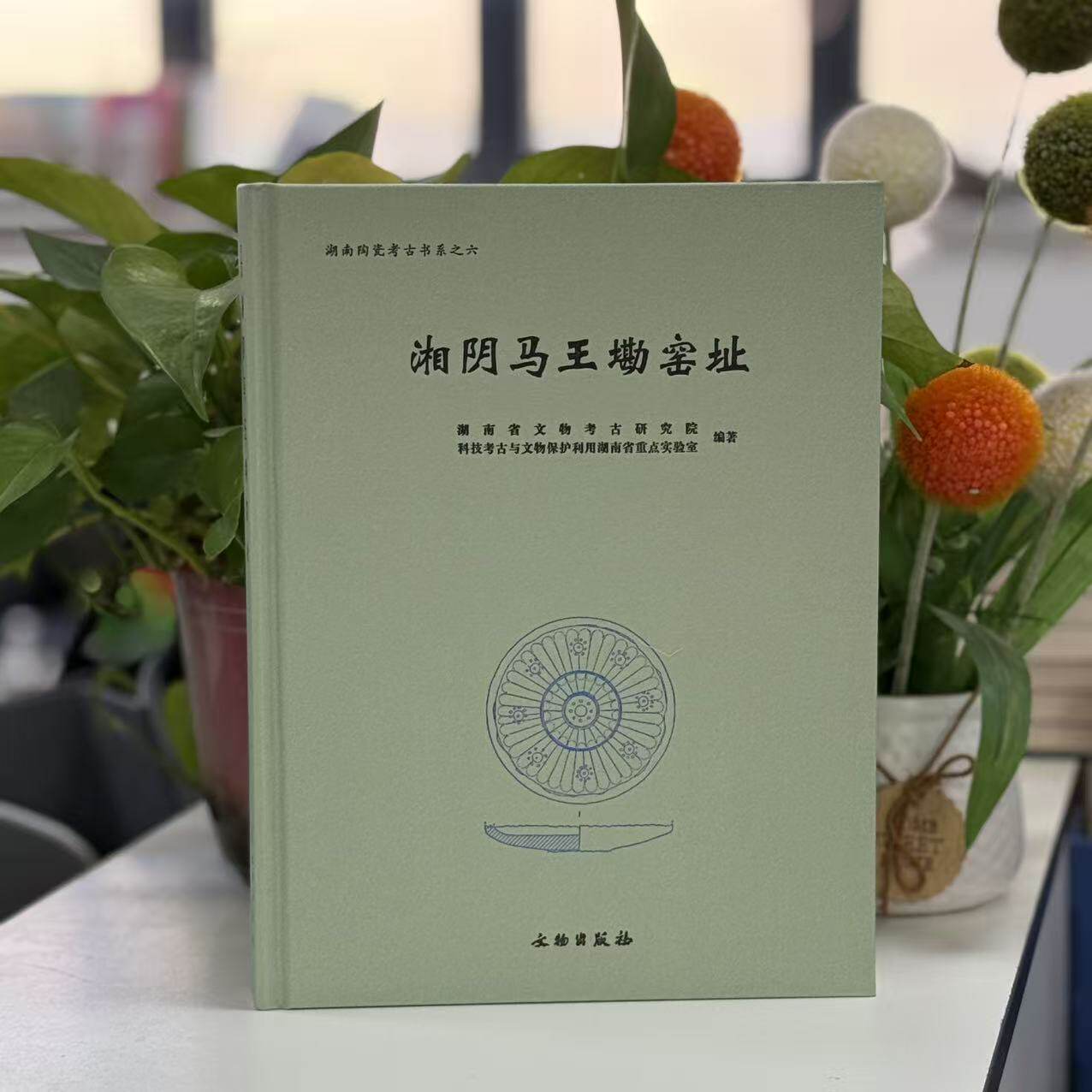 新书--湖南陶瓷考古书系之六:湘阴马王墈窑址(精装) 9787501088034 文物