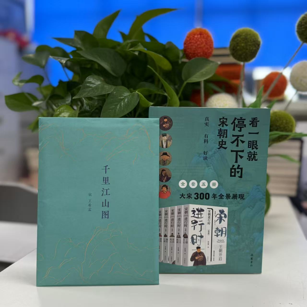宋朝进行时:神州陆沉+偏安江南 +变法风云+人文鼎盛+王朝开启 (全5册)岳麓书社