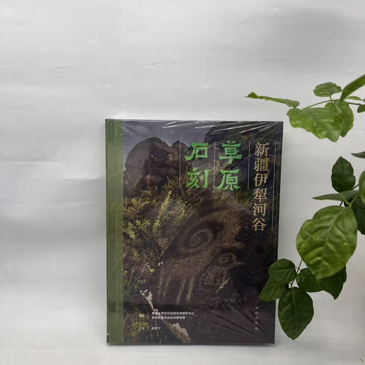 新疆伊犁河谷草原石刻（精装） 9787501085958 文物