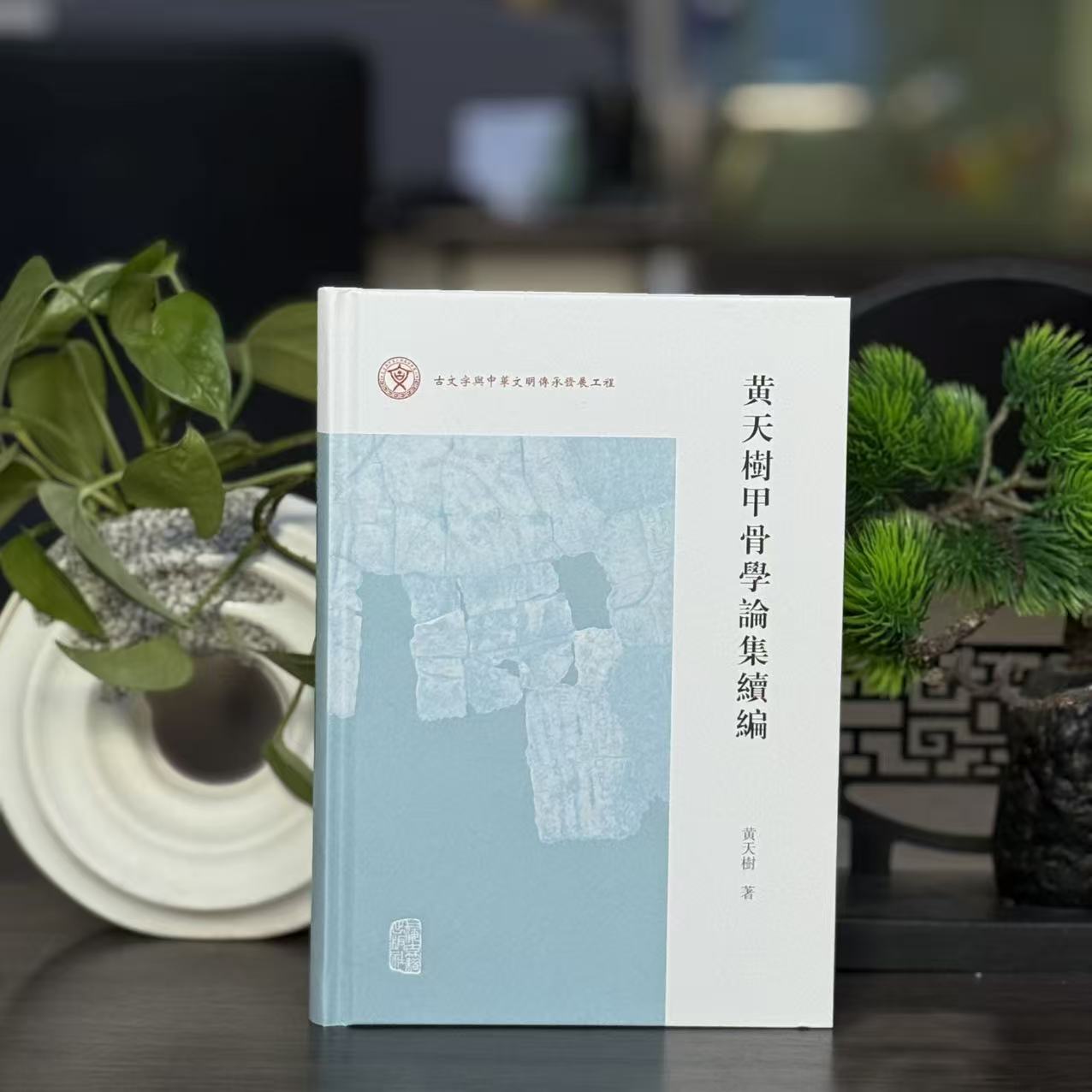 黄天树甲骨学论集续编