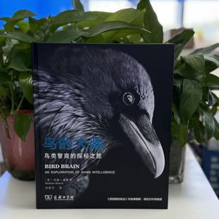 鸟类智商 大脑 探险之旅 精装 商务印书馆 微瑕 9787100188517 鸟