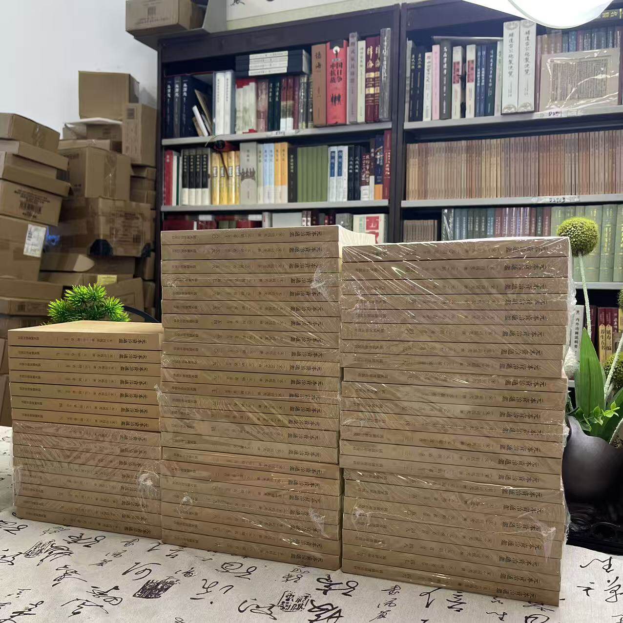国学基本典籍丛刊:元本资治通鑑(全六十册)(两箱一套)9787501365456国家图书馆