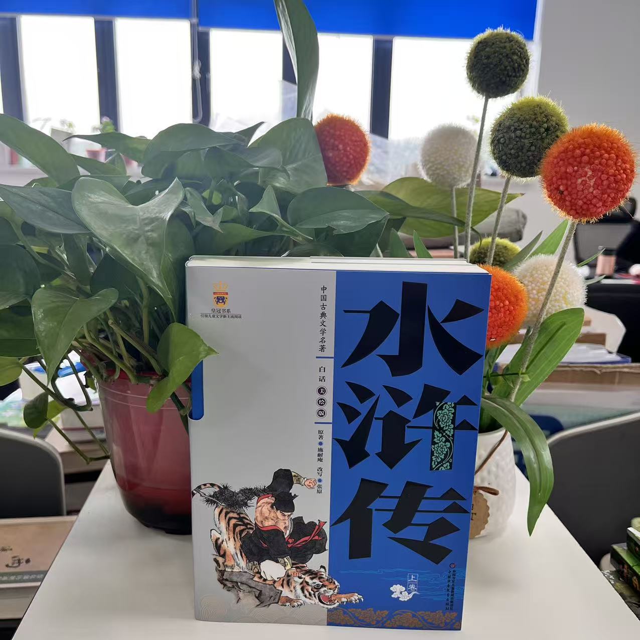 中国古典文学名著.白话：水浒传