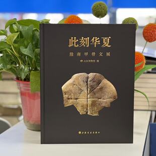 此刻华夏:殷商甲骨文展(精装)9787547936818上海书画
