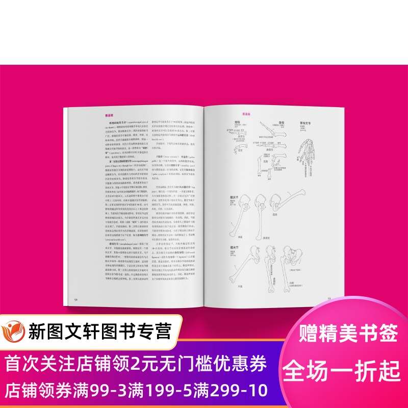 牛津艺用人体解剖学 畅销版 (美)艾略特·古德芬格 9787558620683 上海人民美术出版社
