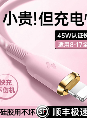 【顺丰】铂信适用苹果14Promax充电器线iPhone13数据线PD45W快充17车载16/15手机12iPad2米typec转lighting11