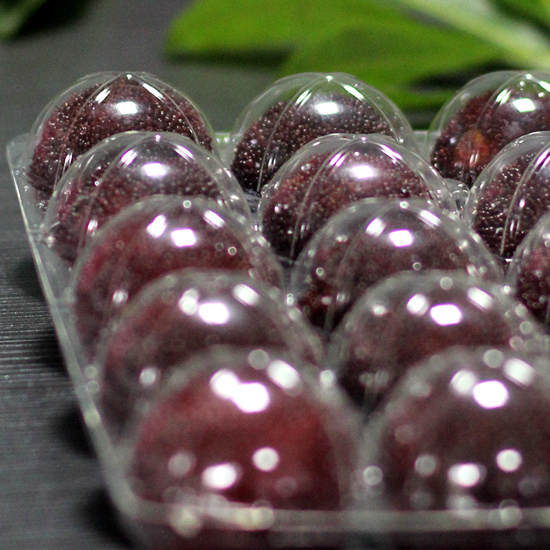 杨梅快递打包盒吸塑托盘东魁杨梅冷藏透明包装盒水果打包盒可定制