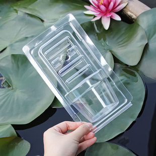 小号圆方盆花盆打包盒 盆栽捕蝇草运输包装盒 多肉植物花苗吸塑盒