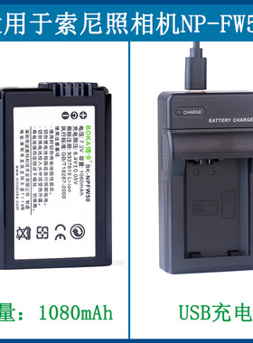 适用 索尼电池A7SM2 ILCE-QX1a6300 DSC-RX10 A7R2 ZV-E10充电器