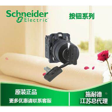 非实价议价议价议价【原装正品】 3位钥匙开关 XB5AG33C=ZB5AZ103
