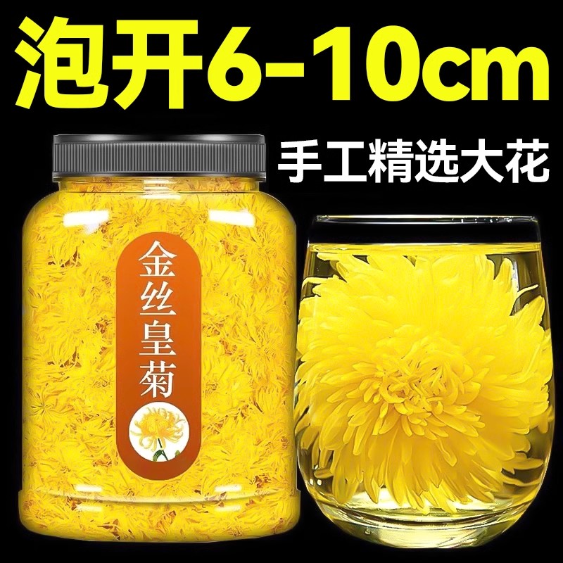 金丝皇菊花茶去火一朵一杯
