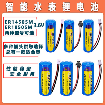 智能水表锂电池ER14505M18505M