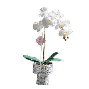 蝴蝶兰仿真绿植高端轻奢假花玄关茶室新年装饰品氛围布置植物盆栽