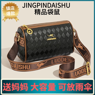 大容量真皮包包女2024新款 百搭单肩包高级感宽肩带斜挎枕头包 时尚