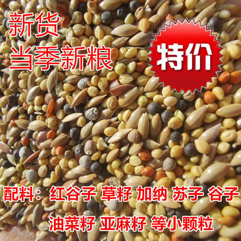 新白苏子文鸟黄谷子鸟粮加纳利子珍珠鸟芙蓉鸟白燕玉鸟食混合饲料