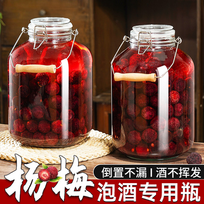【杨梅泡酒瓶】倒置不漏酒不挥发