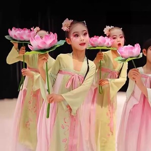儿童古典舞舞蹈服江南可采莲服装