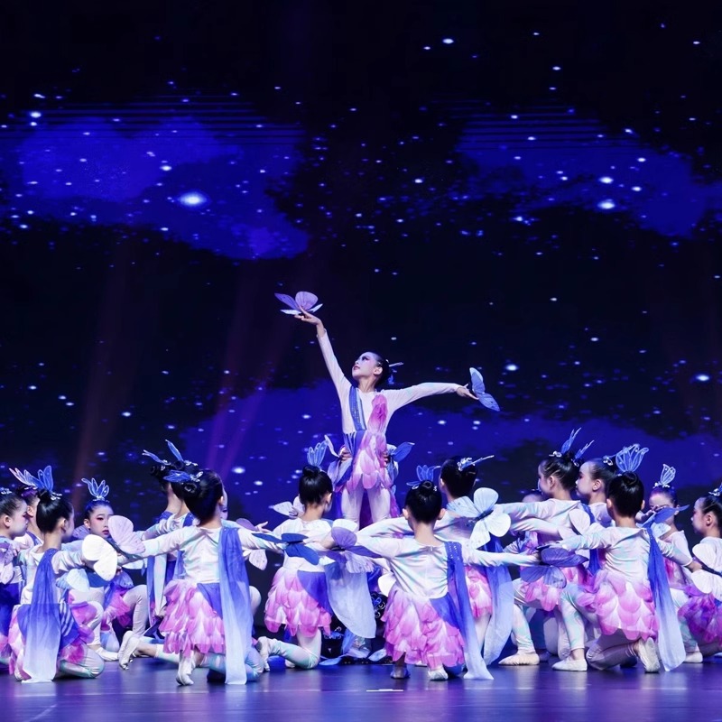 曉春飛蝶演出服彩蝶飛少兒群舞夢(mèng)蝶飛舞蝴蝶道具女童六一表演服裝