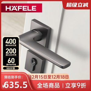 德国海福乐HAFELE卧室房门现代简约黑色亚光实木门分体式静音门锁