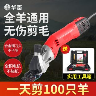 华畜带线宠物电推剪900W大功率剃羊毛推子金毛兔狗狗剪毛器大型犬