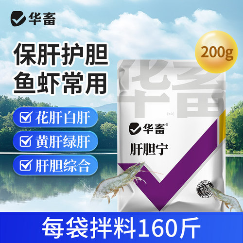肝胆宁胆汁酸保肝护胆肝胆综合症