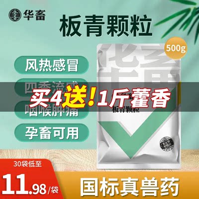 华畜板青颗粒兽用清热解毒